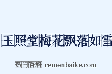 玉照堂梅花飘落如雪是什么意思的图片